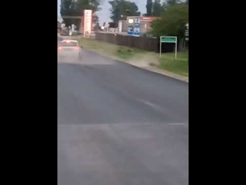 #Чечня Дикий кабан ударился о проезжающий автомобиль в с. Автуры со стороны города Шали.