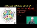 Genetic Code and Translation Concepts