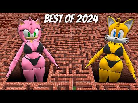 BEST OF 2024 ! I found CROKED DOOR and SONIC WOMAN in Minecraft  ! THE BEST VIDEOS