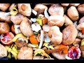 Anaerobic Digestion and Waste Management