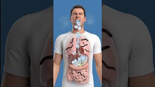 You Put an Ice Cube in Your Mouth and Your Face Reacts Instantly – #shorts #viral #3danimation