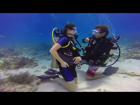 Diving Safely in the Florida Keys: The Importance of Physical Health, Certification Level