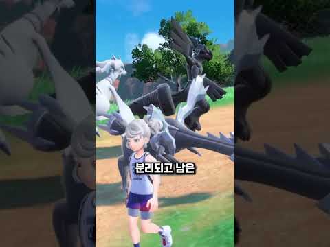 빈 껍데기 포켓몬