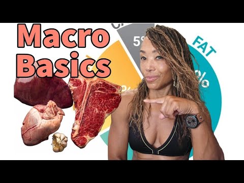 Macro Basics For Beginners. Keto, Carnivore,  lchf Diets