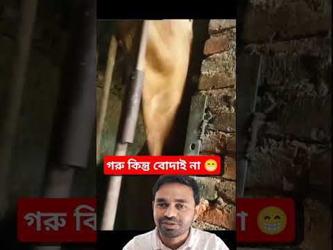 গরু কামডা করলো কি? 😁😂 #shorts #reels