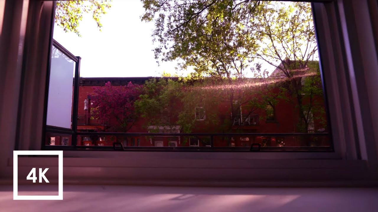 Morning City Ambience Sounds, Open Window, Sounds for Sleep (Montreal Canada) 4k