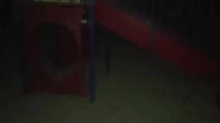 Cartoon cat captado en camara en la Vida real.