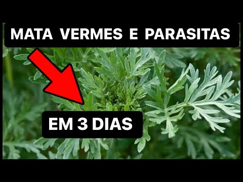O MELHOR REMÉDIO DO MUNDO PARA ELIMINAR VERMES E PARASITAS EM 3 DIAS - DR RENATO SILVEIRA