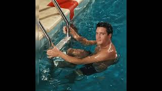 Elvis - Moments in Time vol 355