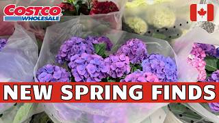 NEW Must-Buys at Costco | COSTCO CANADA Shopping