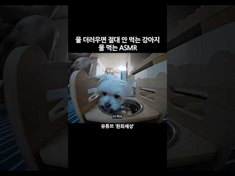 자기주장 참 강함