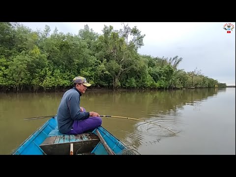 Benar-benar Rezeki,,banyak sambaran ikan kakap besar kali ini