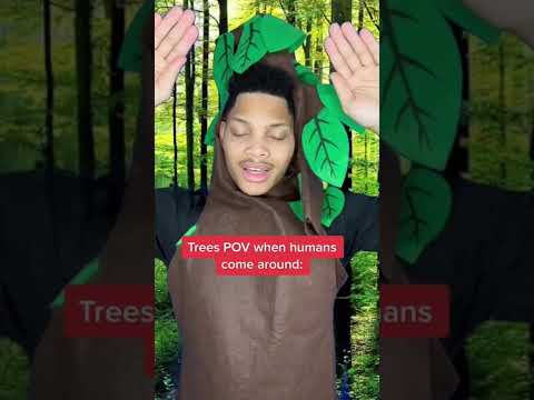 Tree POV when humans come around