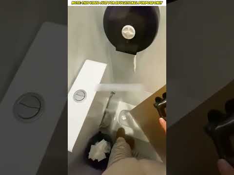 World's smallest toilet!