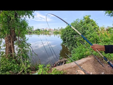 Câu lục đầu cần đóng toàn hàng khủng