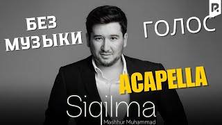 Mashhur Muhammad - Siqilma | Машхур Мухаммад - Сиқилма  АКАПЕЛЛА только голос