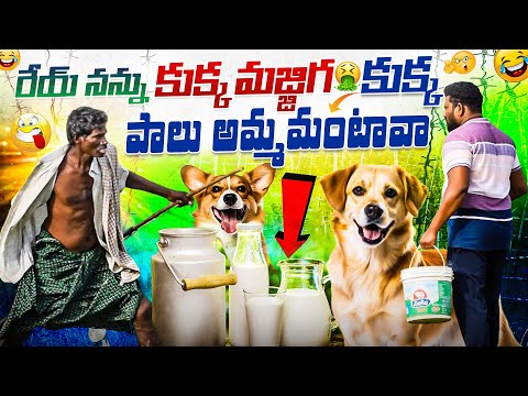 నన్ను కుక్క మజ్జిగ 😂కుక్క పాలు అమ్మమంటావా 👌ఫన్నీ ప్రాంక్!!AR PRANK BOYS🙏