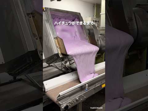 ハイチュウができるまで🍇森永製菓の工場に潜入してみた！【工場見学】