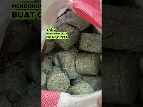 sampah uang 1,5 miliyar dibuang begitu saja #tanduria