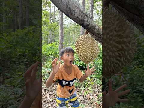 Survival Skills: SMART idea and USEFUL in Forest #bushcraft #camping #outdoors #survival