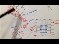 Muscle Contraction Mechanisms