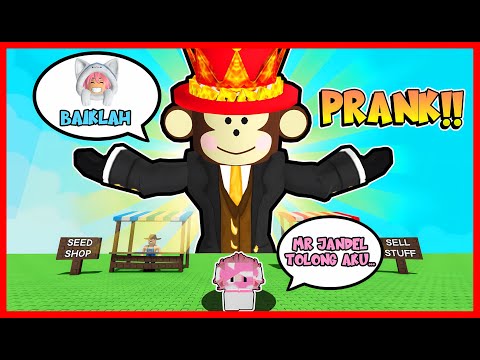 ATUN LOGIN KE AKUN JANDEL, PEMILIK GROW A GARDEN DAN PRANK MOMON !! Feat @sapipurba Roblox