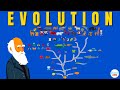 Evolutionary Mechanisms and Concepts