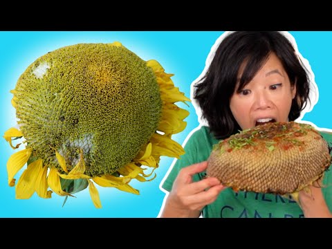 🌻 How to Eat a SUNFLOWER HEAD