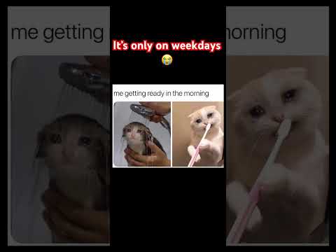 Its only on weekdays 😭 #memes #meme #shorts #relatable #funny