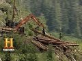 Logging Adventures and Life Choices