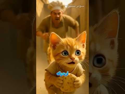 بسبوس سرق الخبز لكي يطعم اخوته! 💔 #قصص #قطط