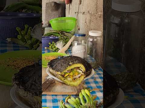 Así se rellenan los nopales