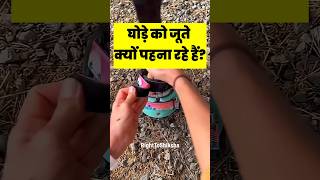 घोड़े को जूते क्यों पहना रहे हैं? By Right To Shiksha