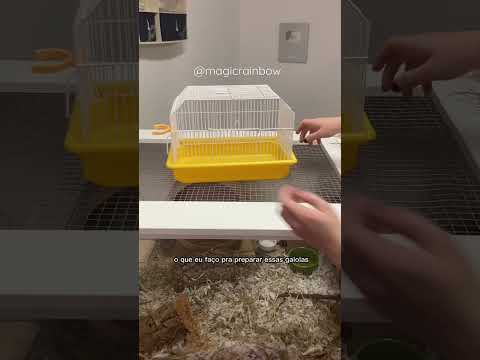 Gaiola de transporte 🐹