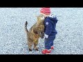 Understanding Emotions and Interactions in Video