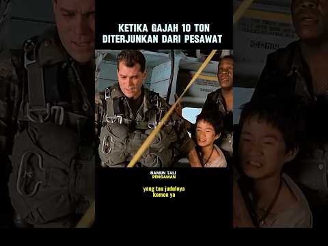 para tentara menerjunkan gajah dari pesawat tempur#cuplikanfilm #alurceritafilm