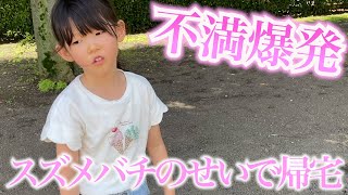 スズメバチのせいで公園で遊べなくて不満な５歳娘