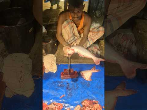 Popular Asian Pangas Fish cutting skills #shorts #fishmarket #fishing