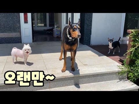 오랜만에 집돌이와 아이들~