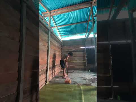 Keluar tambak dan masuk lagi 😋 #tambak #kalimantan #carikepiting