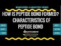 Peptide Bonds and Protein Structure