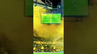 Pyrotechnik BvB - Ein Rückblick auf die Saison 2022/23 #bvb #borussiadortmund #pyro #bundesliga