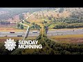 Wildlife Crossings in America