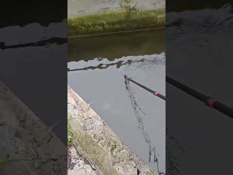 New Slingshot Fishing Reel Set is ! Free for shipping on sale. homepage have store