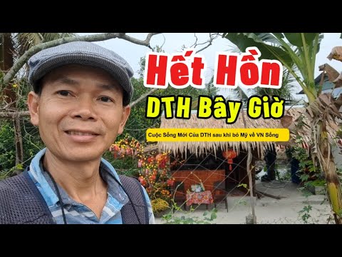 Chỉ cần 200 triệu Việt Kiều DTH về VN xây nhà vườn sống An Nhàn nhiều người mơ!