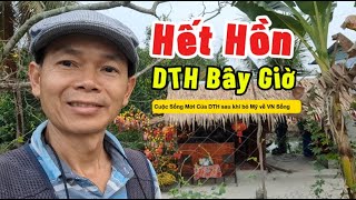 Chỉ cần 200 triệu Việt Kiều DTH về VN xây nhà vườn sống An Nhàn nhiều người mơ!