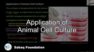 Application of Animal Cell Culture