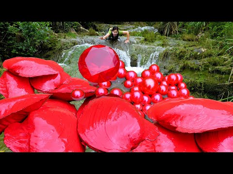 😱😱The girl discovered a sparkling giant clam filled with enchanting beautiful red pearls