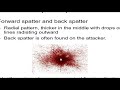 Blood Spatter Analysis Concepts