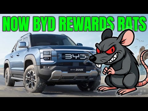 BYD is rewarding rats & snitches now | Auto Expert John Cadogan